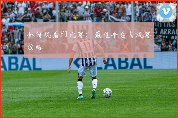 如何观看F1比赛:最佳平台与观赛攻略